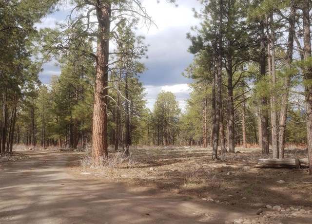 Property at 435 Wood Sorrel Ln, Ridgway, CO 81432