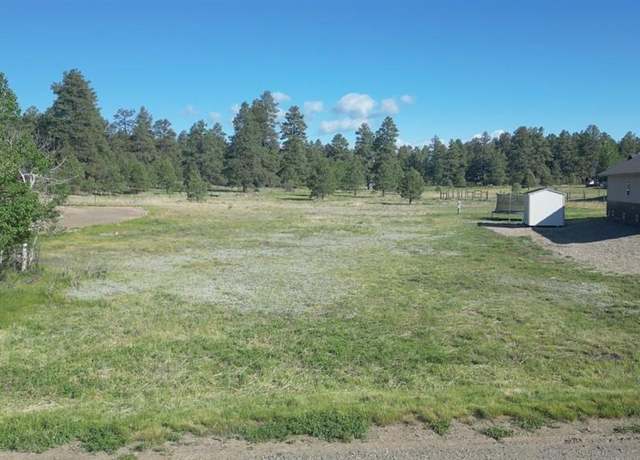 Property at 246 Periwinkle Dr, Pagosa Springs, CO 81147