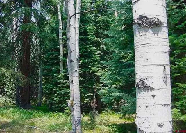 Property at 703 Wildflower Dr, Cimarron, CO 81220