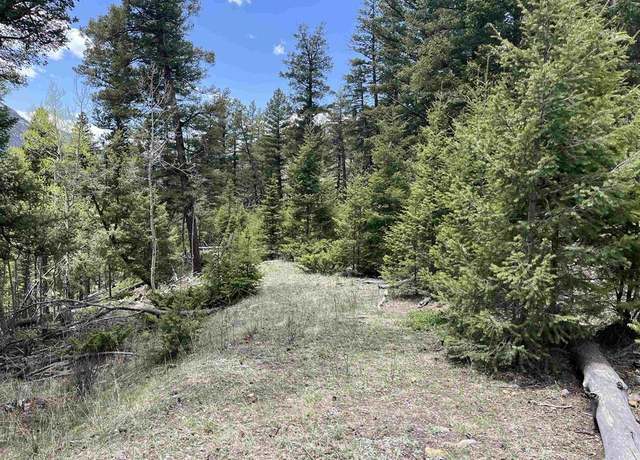 Property at TBD Blk 92 Lots 4-6, Jasper, CO 81144