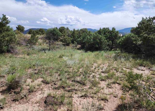 Property at 233 Berthoud Pass Rd, South Fork, CO 81154