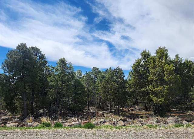 Property at Lot 7 Wild Turkey Ln, Cedaredge, CO 81413