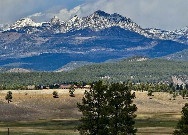 Property at 131 Easy St, Pagosa Springs, CO 81147, 3 beds, 3 baths