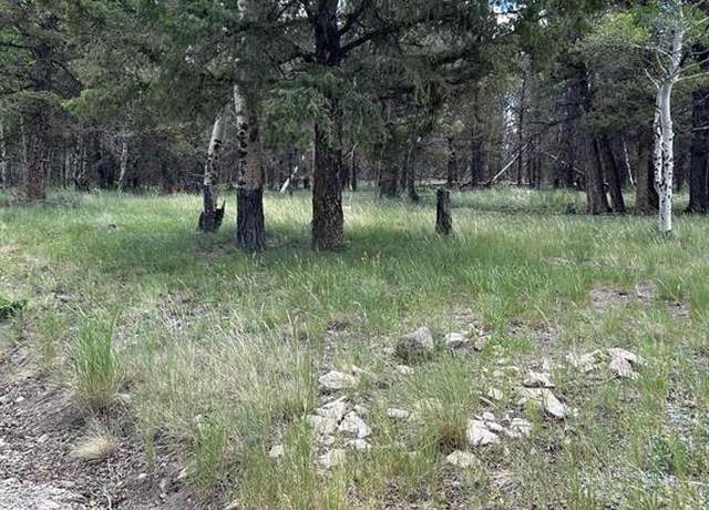 Property at 522 Monarch Rd, Powderhorn, CO 81243