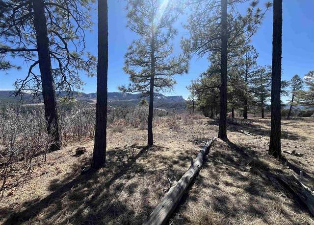 Property at 174 Caraway Ct, Pagosa Springs, CO 81147