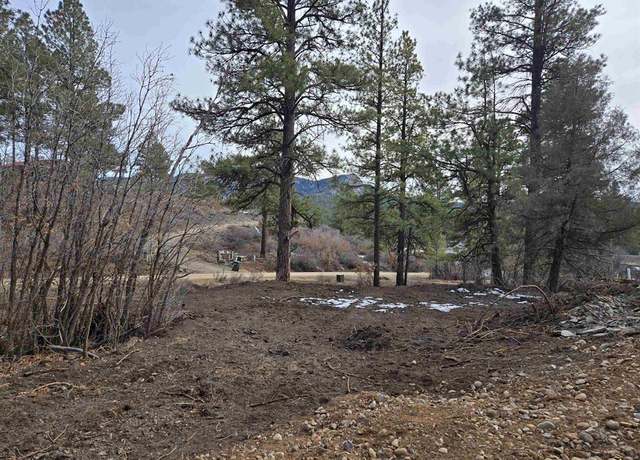 Property at 368 Squirrel, Pagosa Springs, CO 81147