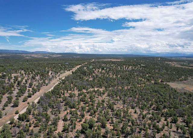 Property at 1495 Ragsdale Rd, Norwood, CO 81423