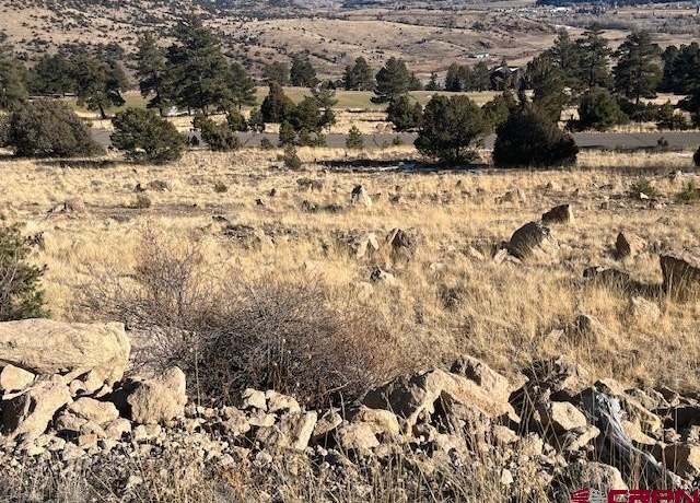 Property at 0 Ellingwood Dr, South Fork, CO 81154