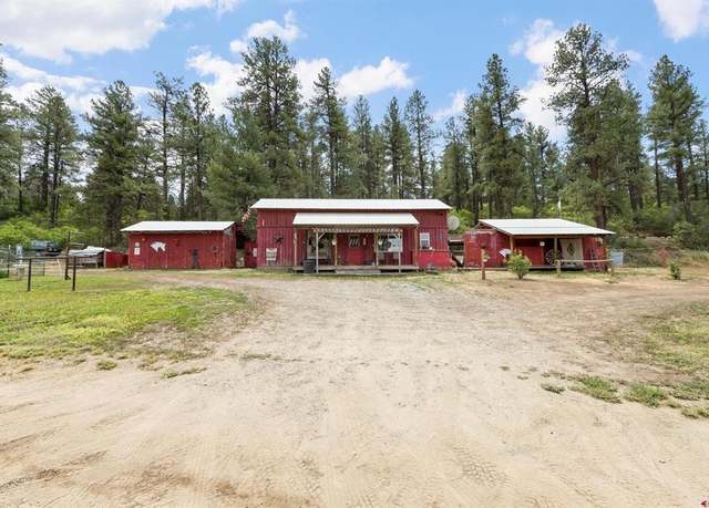 Property at 1199 & 1242 E Stollsteimer Rd, Pagosa Springs, CO 81147, 1 bed, 1 bath