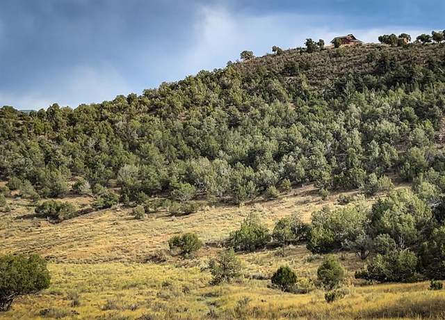 Property at TBD Road 35, Mancos, CO 81328