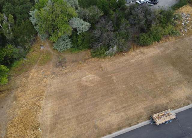 Property at 520 SE Stonebridge Dr, Cedaredge, CO 81413