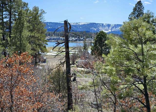 Property at 344 Caddy Cir, Pagosa Springs, CO 81147