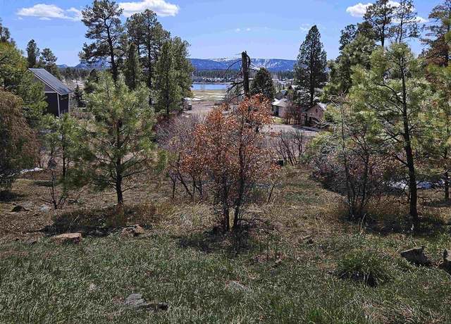 Property at 360 Caddy Cir, Pagosa Springs, CO 81147