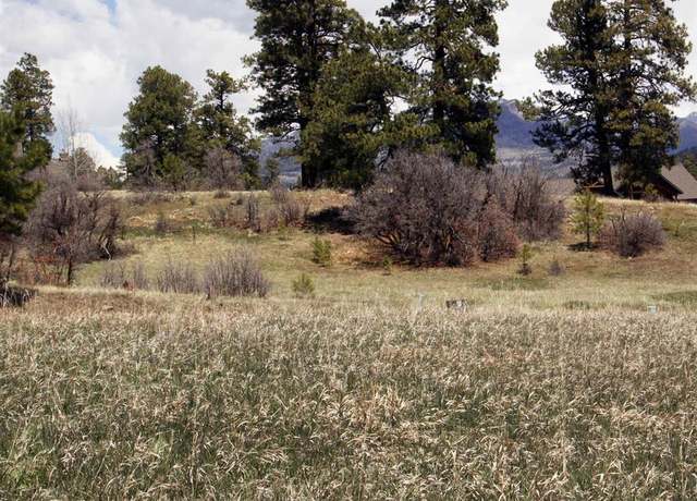 Property at 667/697 Clint Cir, Pagosa Springs, CO 81147