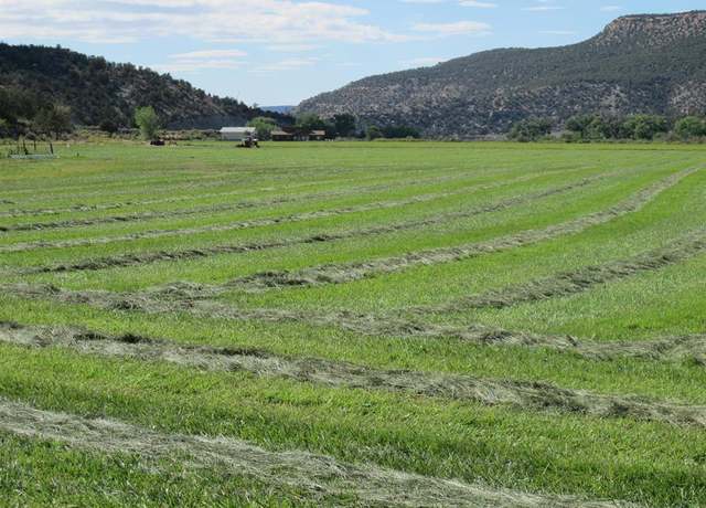 Property at TBD Lot 1 Road G, Cortez, CO 81321