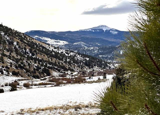 Property at 1280 Rio Grande Club Trl, South Fork, CO 81154