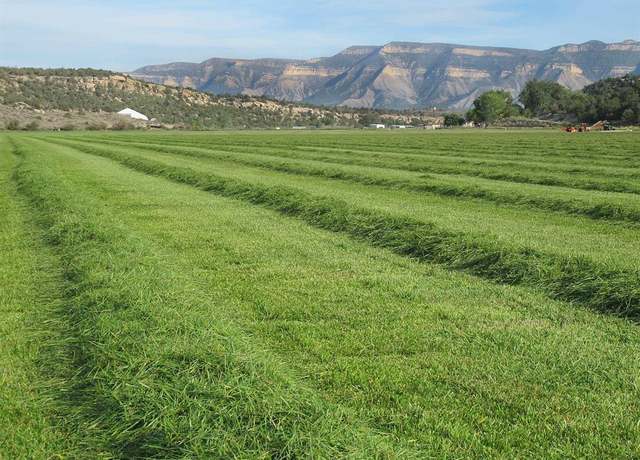 Property at TBD Lot 2 Road G, Cortez, CO 81321
