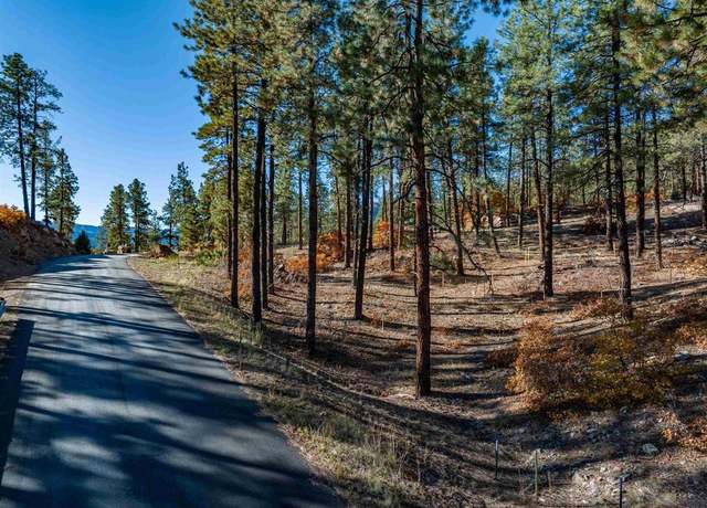 Property at 119 Hideout Trl, Durango, CO 81301