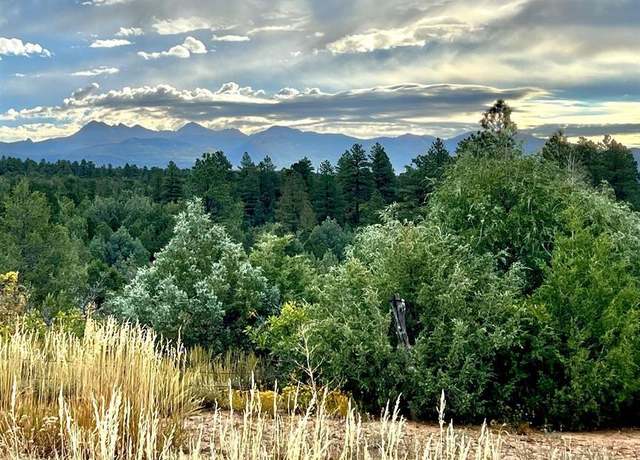 Property at TBD Road 38, Mancos, CO 81328