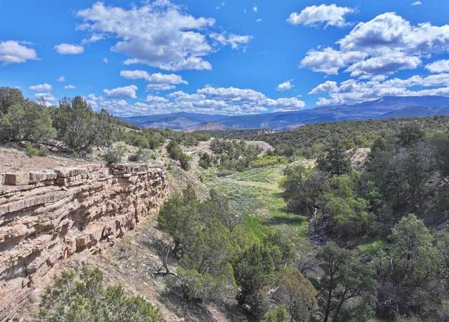 Property at TBD (Tract 4) Cr 1, Montrose, CO 81403