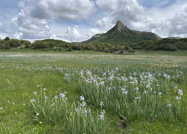 Property at TBD Road 29.8, Cahone, CO 81320