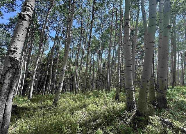 Property at 583 Crest Dr, Cimarron, CO 81220