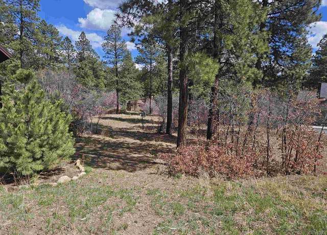 Property at 19 & 23 Terra Blue Way, Durango, CO 81301