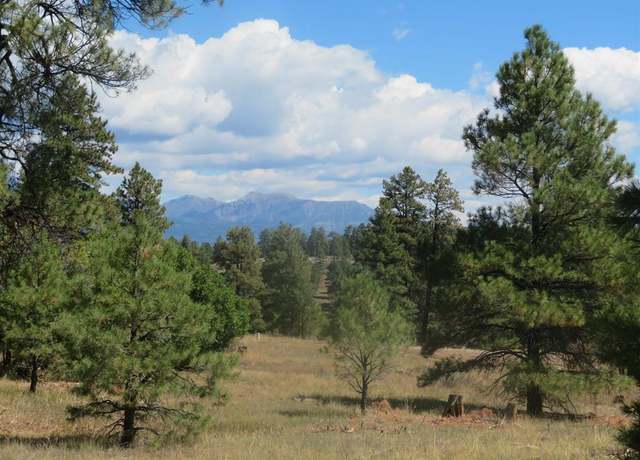 Property at 100 N Pinescent Ct, Pagosa Springs, CO 81147