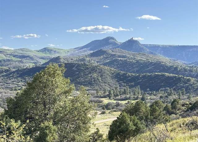 Property at 4625 Road 31 Lot 20, Dolores, CO 81323