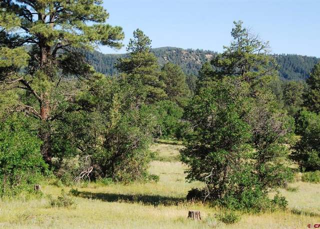 Property at X Us Hwy 84 #116, Pagosa Springs, CO 81147