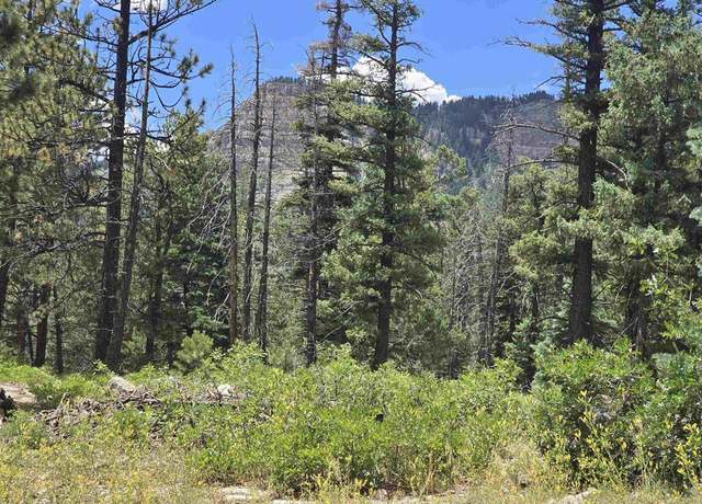 Property at 67 Big Pine Trl, Durango, CO 81301