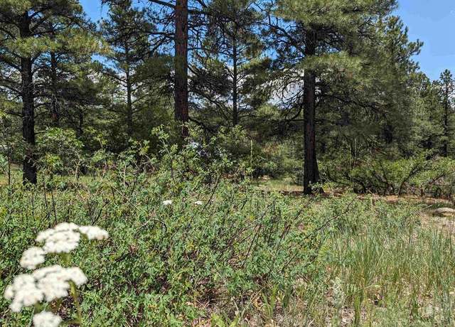 Property at 90 Balfour Ct, Pagosa Springs, CO 81147