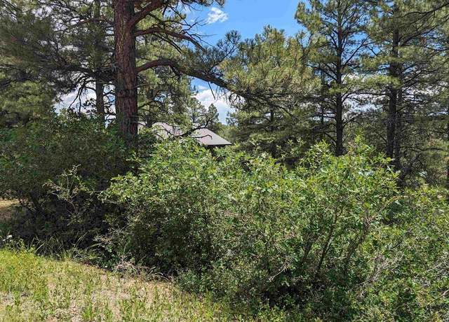Property at 90 Balfour Ct, Pagosa Springs, CO 81147