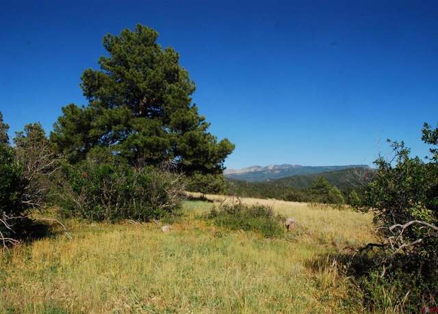 Property at X Us Hwy 84 #114, Pagosa Springs, CO 81147