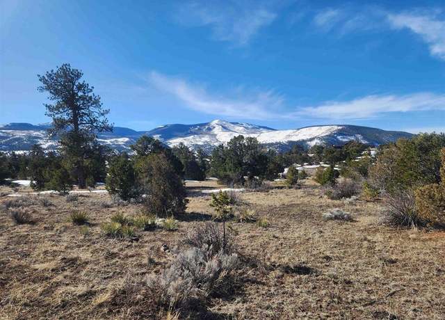 Property at 88 Silver Thread Cir, South Fork, CO 81154