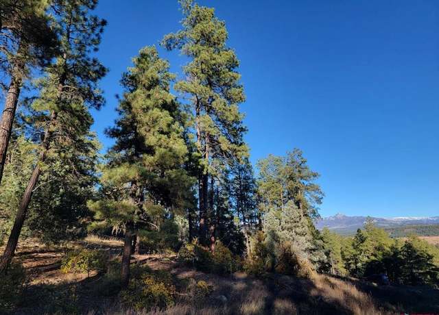 Property at 21 Echo Lake Access Easement, Pagosa Springs, CO 81147