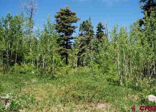 Property at X Cold Springs Ct, Pagosa Springs, CO 81147
