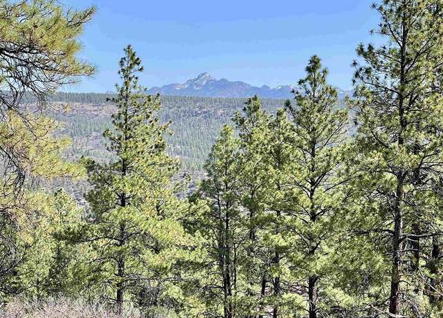 Property at 252 Starlight Pl, Pagosa Springs, CO 81147