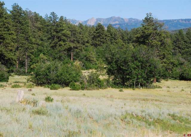Property at X Us Hwy 84 #047, Pagosa Springs, CO 81147