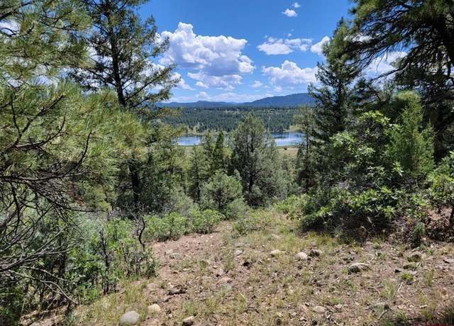 Property at 2 Echo Lake Access Easement, Pagosa Springs, CO 81147
