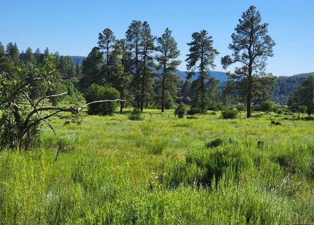 Property at X Catchpole Dr, Pagosa Springs, CO 81147