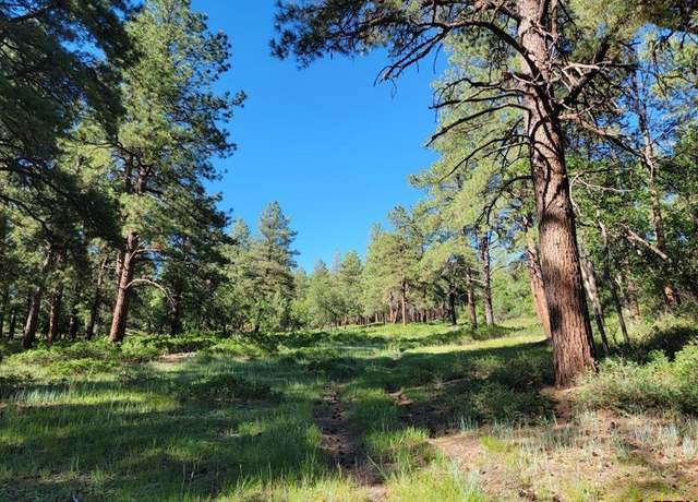 Property at X Catchpole Dr, Pagosa Springs, CO 81147
