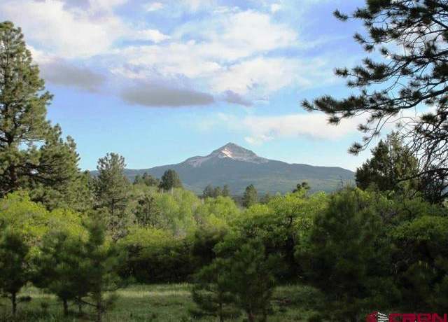 Property at TBD Peninsula Dr, Placerville, CO 81430