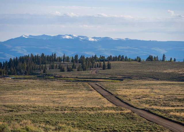 Property at 2191 Blue Mesa Dr, Powderhorn, CO 81243
