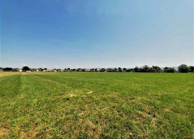 Property at TBD Odelle Rd, Montrose, CO 81401