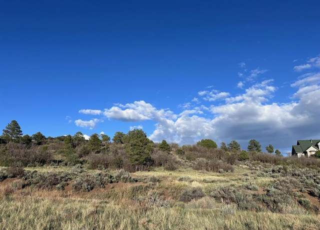 Property at Lot 16 Primrose Ln, Bayfield, CO 81122