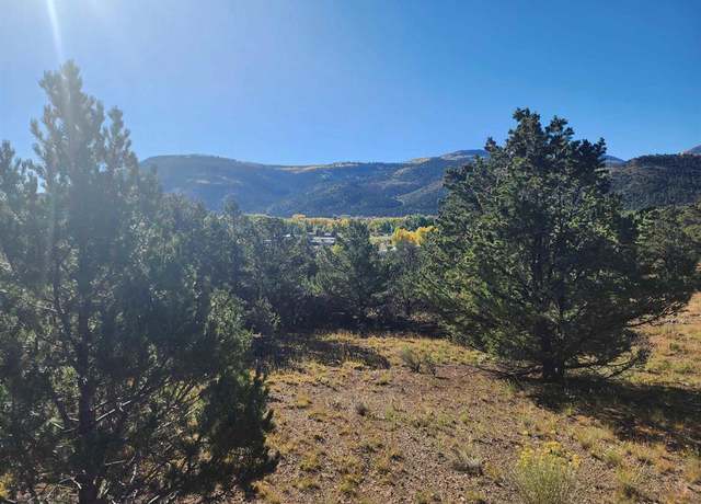 Property at 327 Loveland Rd, South Fork, CO 81154