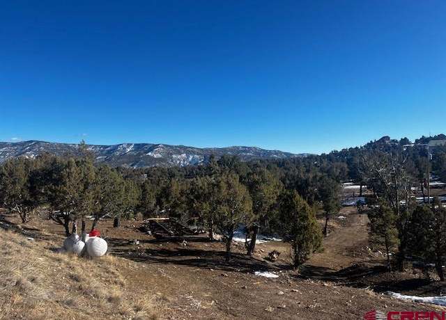 Property at 132 White Tail Pl, Arboles, CO 81121