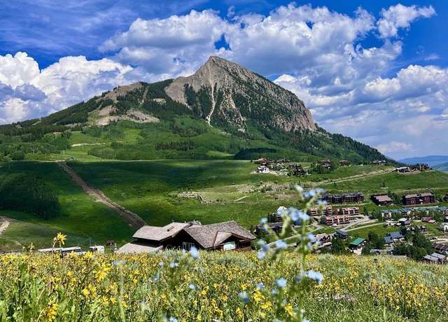 Property at 20 Buttercup Ln, Mt. Crested Butte, CO 81225