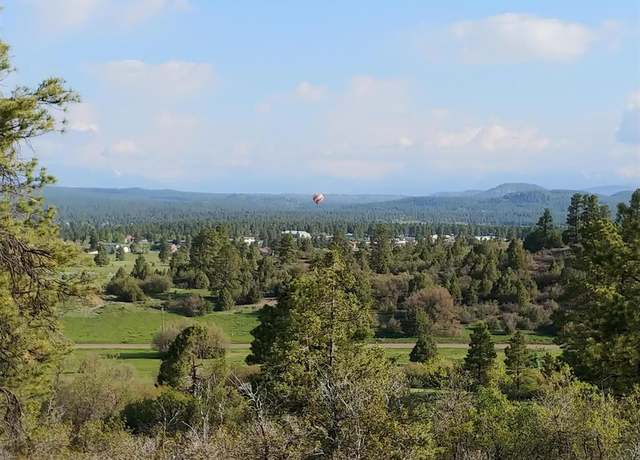Property at 1654 Carino Pl, Pagosa Springs, CO 81147
